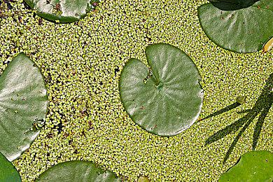 索尼为PSVR2新增四款游戏 首发作品8月上线