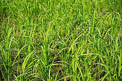 《写真语》登陆Steam 寓教于乐学习外语游戏